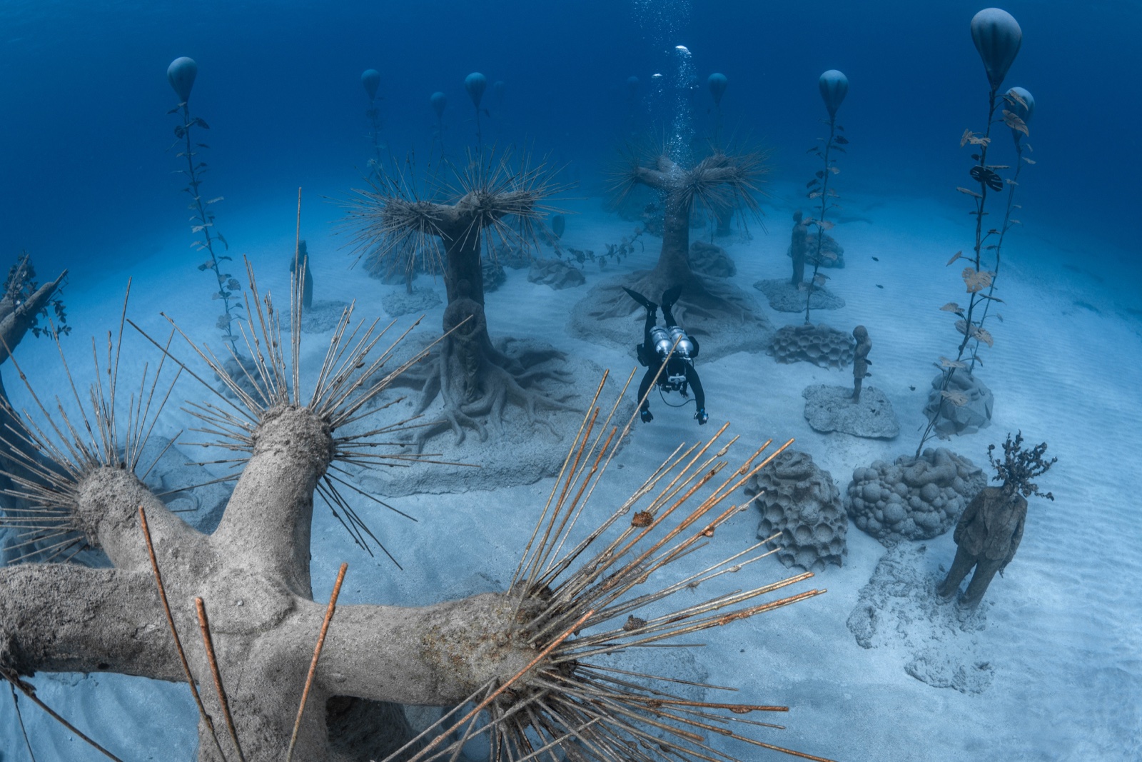 MUSAN underwater sculpture park trees with sea urchins Ayia Napa Cyprus diver